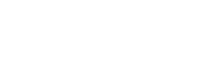 Vega Travels logo