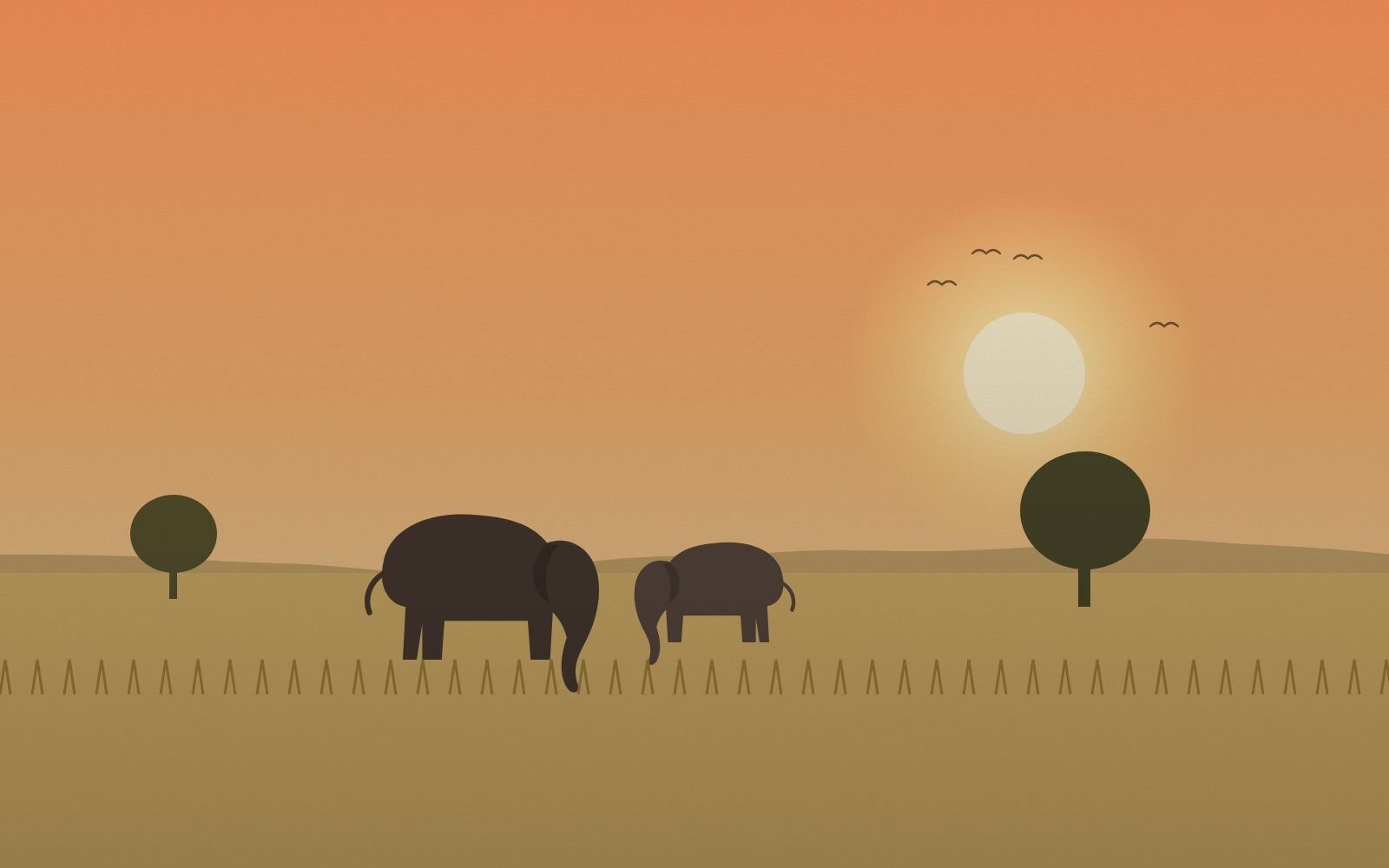 Yala – illustration